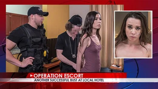 Free watch streaming porn OperationEscort Ariel Grace - Another Successful Bust At Local Hotel E02 - xmoviesforyou