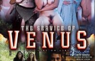 The Service Of Venus (2019)