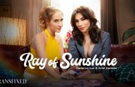 Transfixed – Cadence Lux And Ariel Demure – Ray Of Sunshine