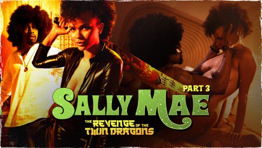 SweetSweetSallyMae - Alina Ali - Sally Mae The Revenge Of The Twin Dragons Part 3