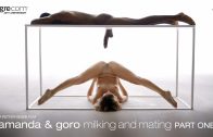 Hegre – Amanda – Milking And Mating Part 1