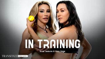 poster image