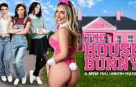 Penthouse – Stormy Daniels’ Cum Before The Storm (2018)
