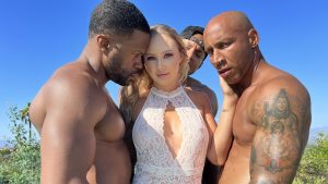 TheFlourishXXX &#8211; Taylor Nicole &#8211; DP Threesome With 8ball In Ass Of Taylor Nicole